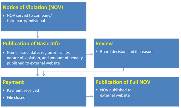 Diagram 2: Summary of AMP Process