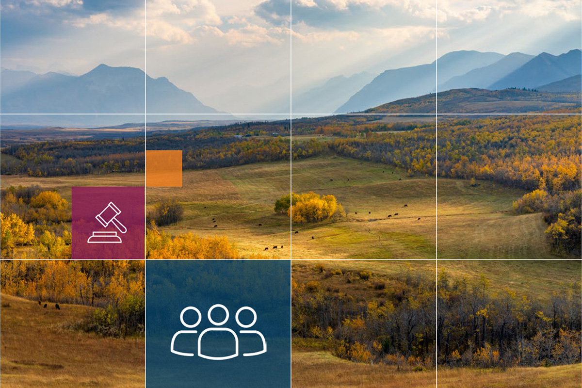 Four people having a discussion at a table