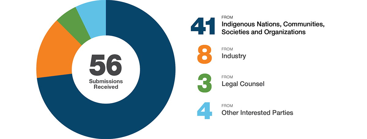 Circle graphic representing the demographics of the 56 submissions received 