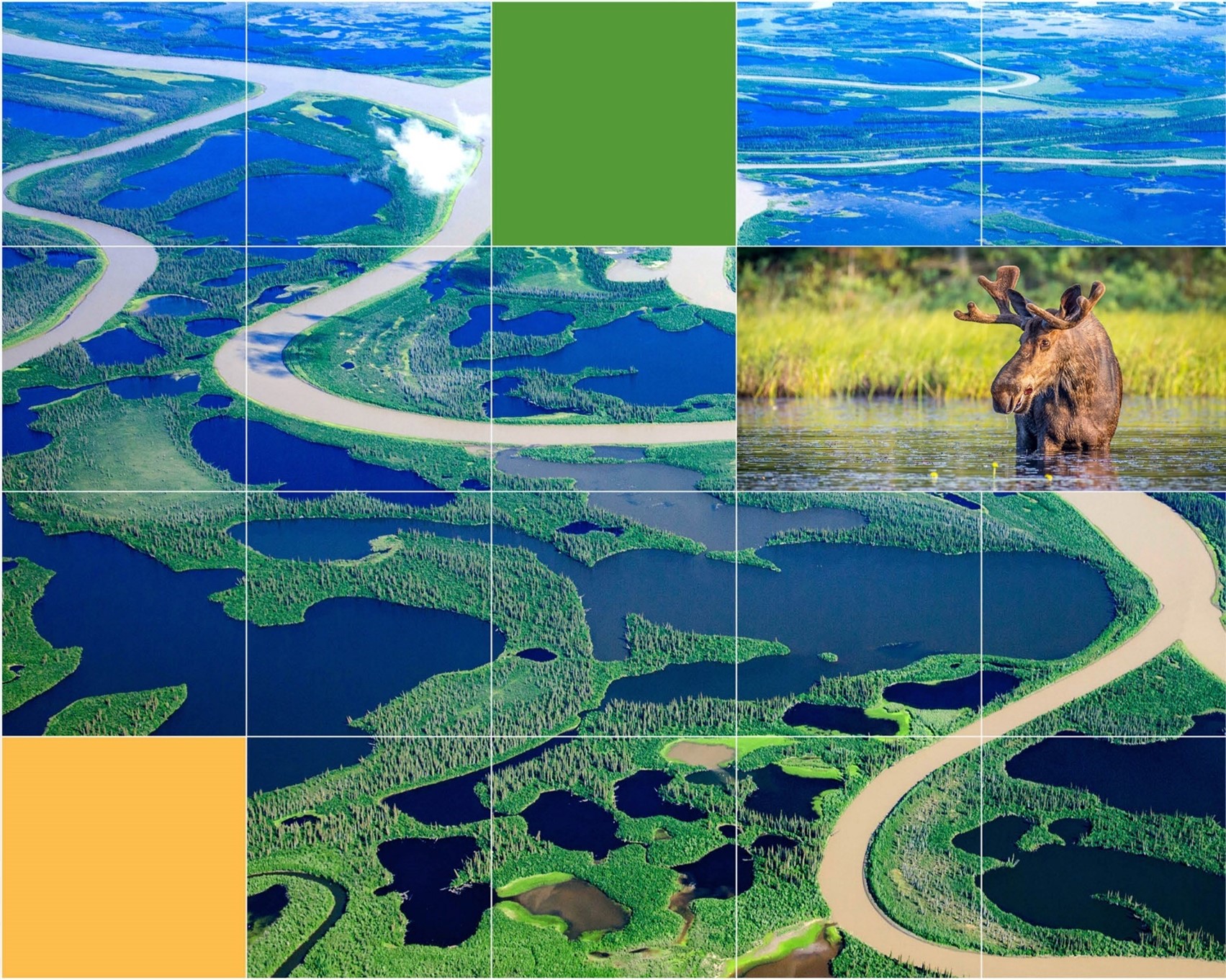 Photo: Graphic grid over pictures of a lake, and a moose