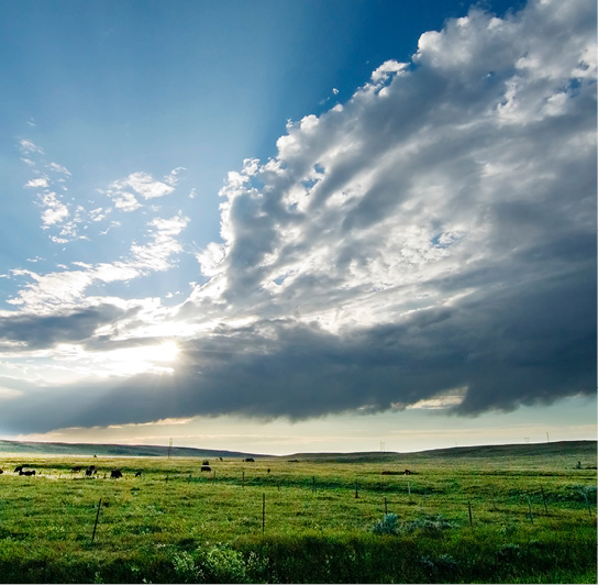 Ciel nuageux au-dessus de terres agricoles