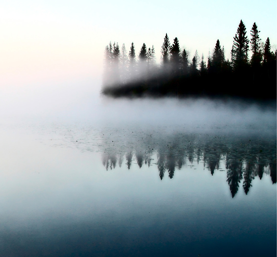 Winter Frost on a tree in a frozen northern Saskatchewan field