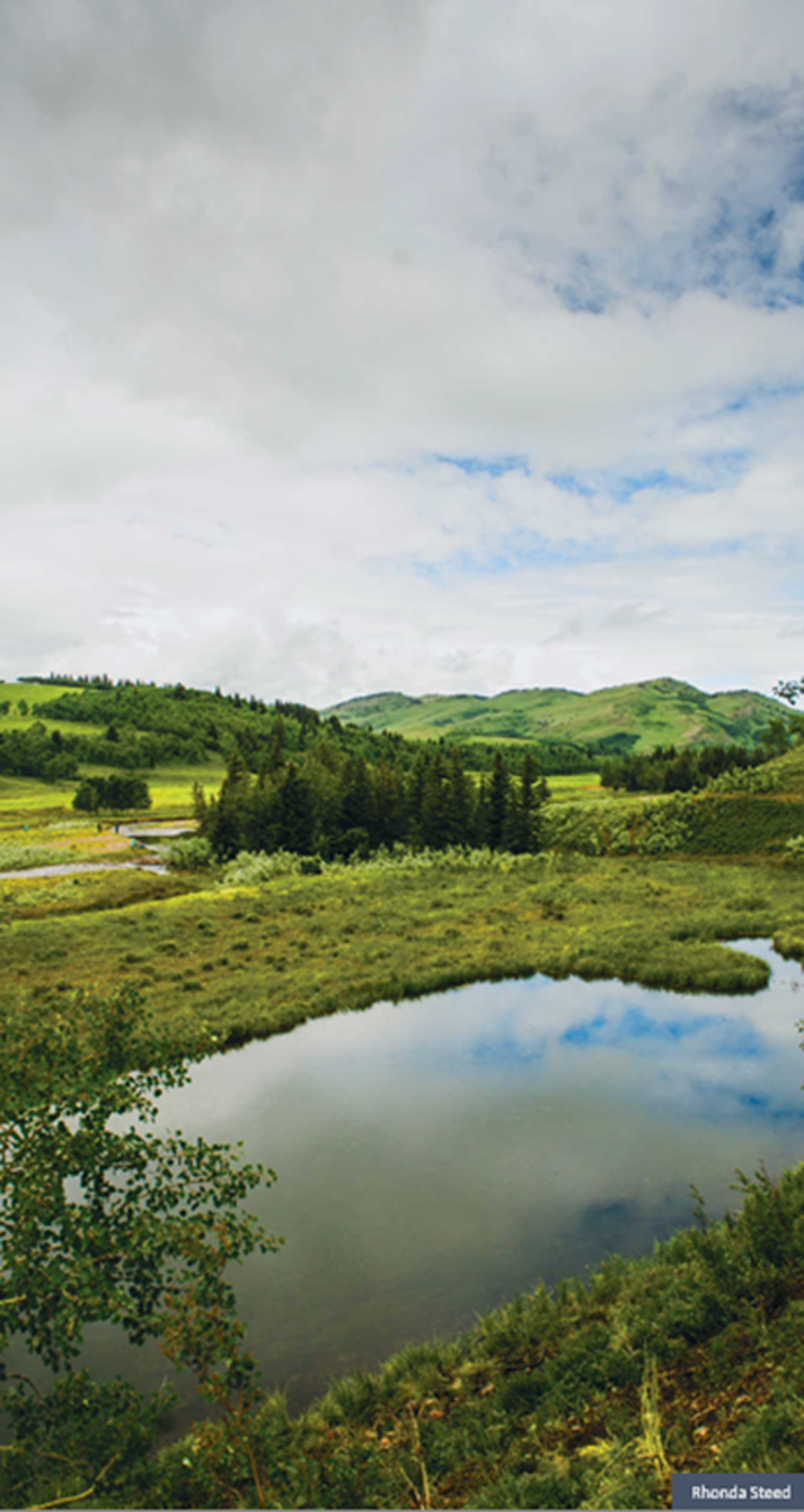 Valley, trees, hills and pond