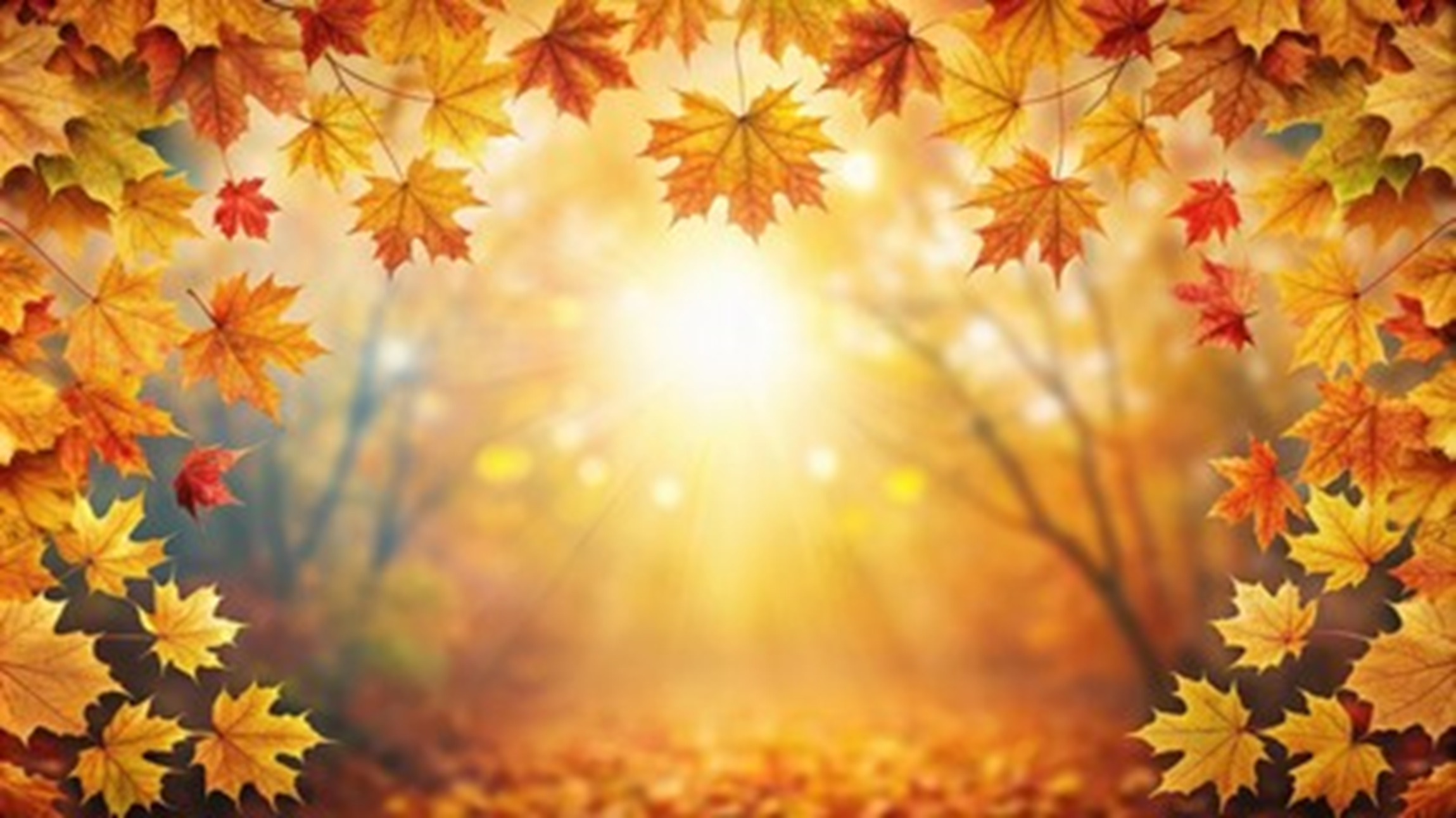 Figure&nbsp;1 &ndash; Canoe navigating a river.