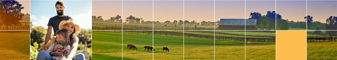 Banner with white intersecting lines and icon showing an agricultural landscape.
