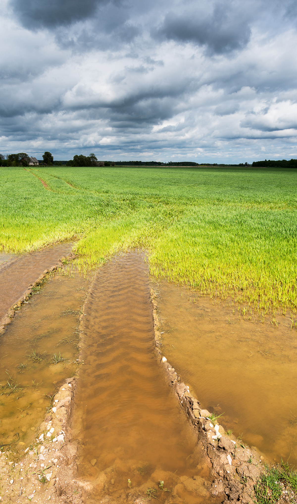 Figure&nbsp;6 &ndash; Tire tracks across a wet field