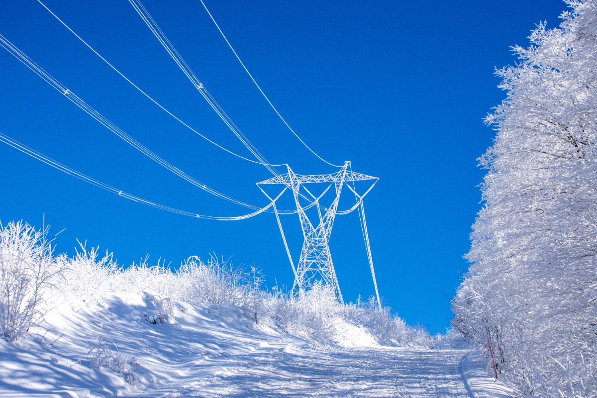 En hiver, les lignes électriques et les arbres, recouverts de givre, se détachent sur un ciel d'un bleu éclatant.