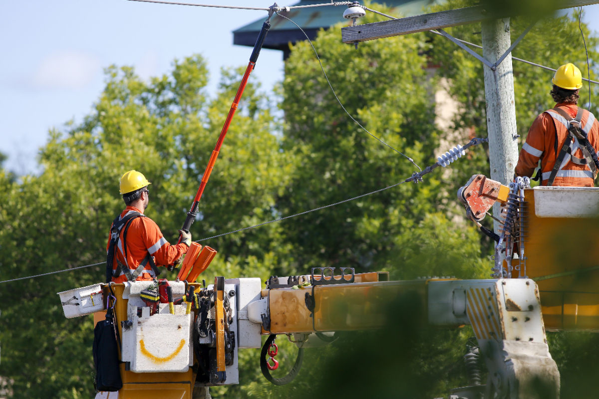 Des ouvriers équipés d’équipement de protection individuelle, installés dans des nacelles, effectuent des travaux sur une ligne électrique, entourés par la cime des arbres, par une journée ensoleillée.
