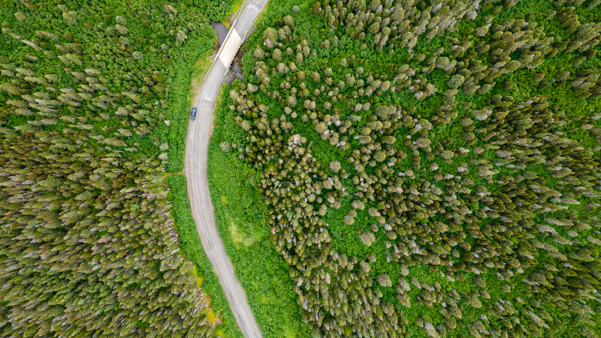 Vue panoramique d’un chemin de gravier traversant la forêt boréale. Une berline noire se déplace sur la route.