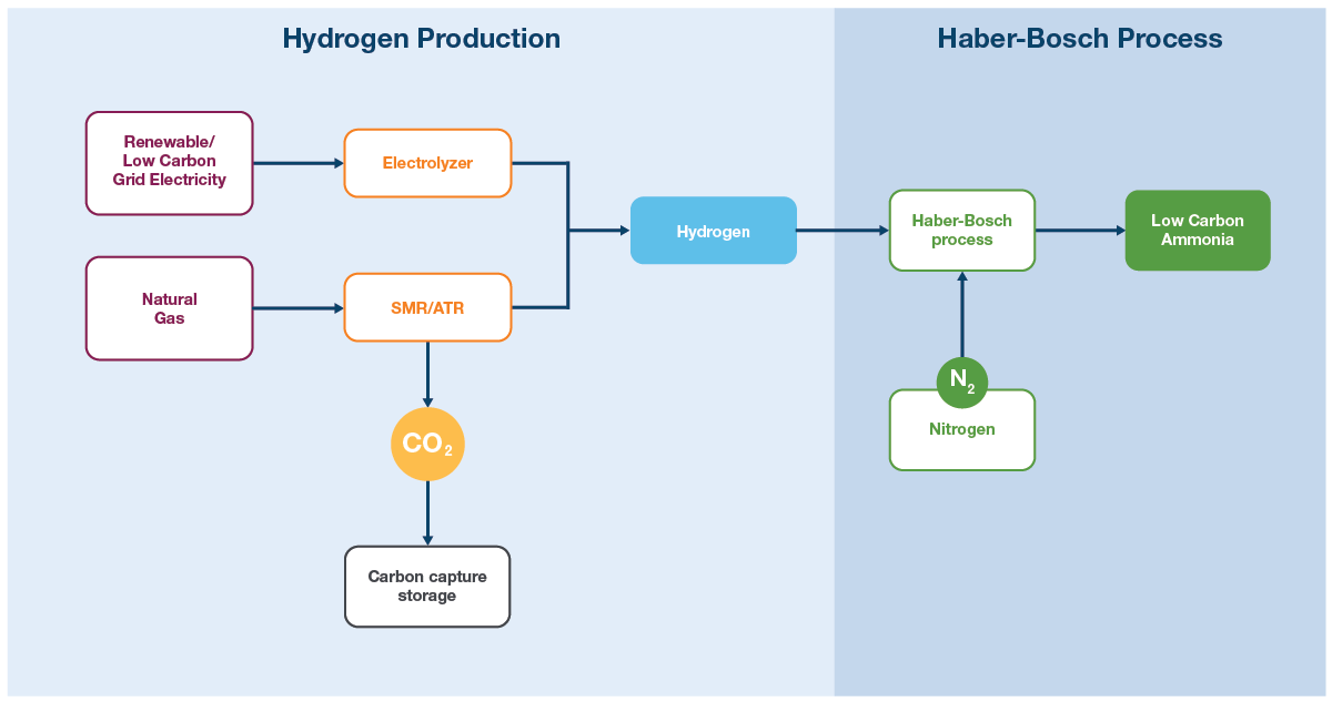 This diagram shows the process of producing low carbon ammonia.