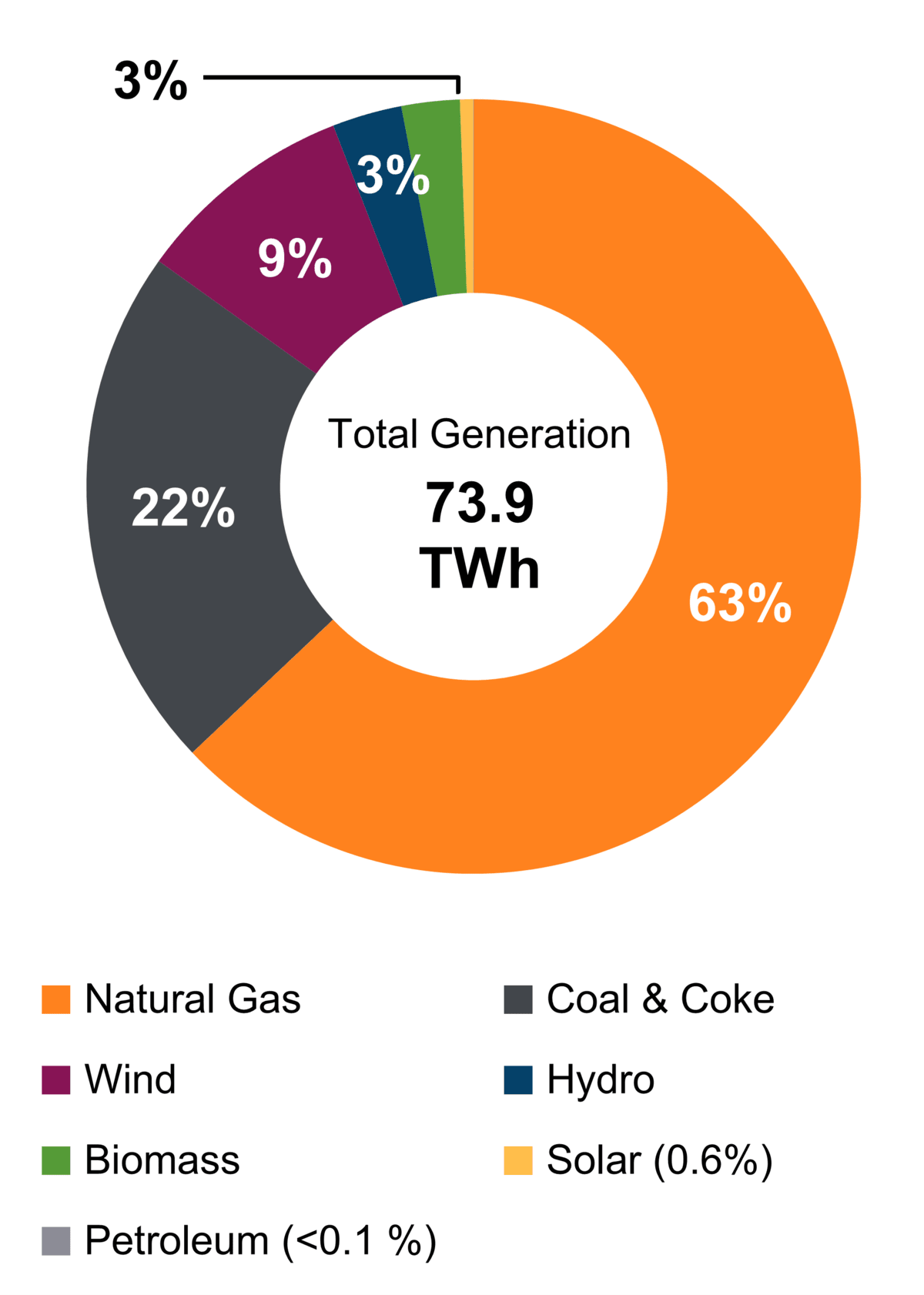 Figure 1: Electricity Generation by Fuel Type (2021)