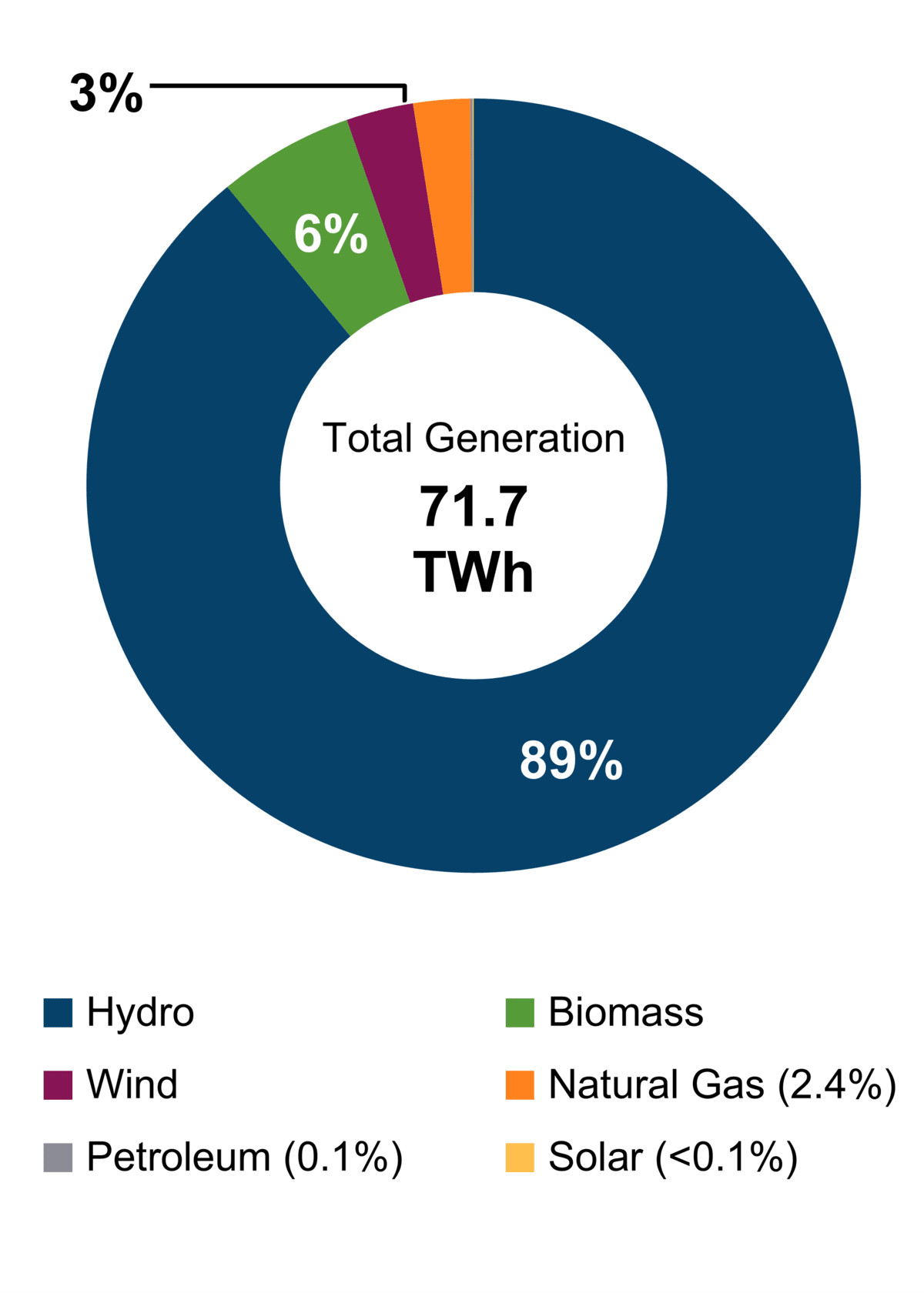 Figure 1: Electricity Generation by Fuel Type (2021)