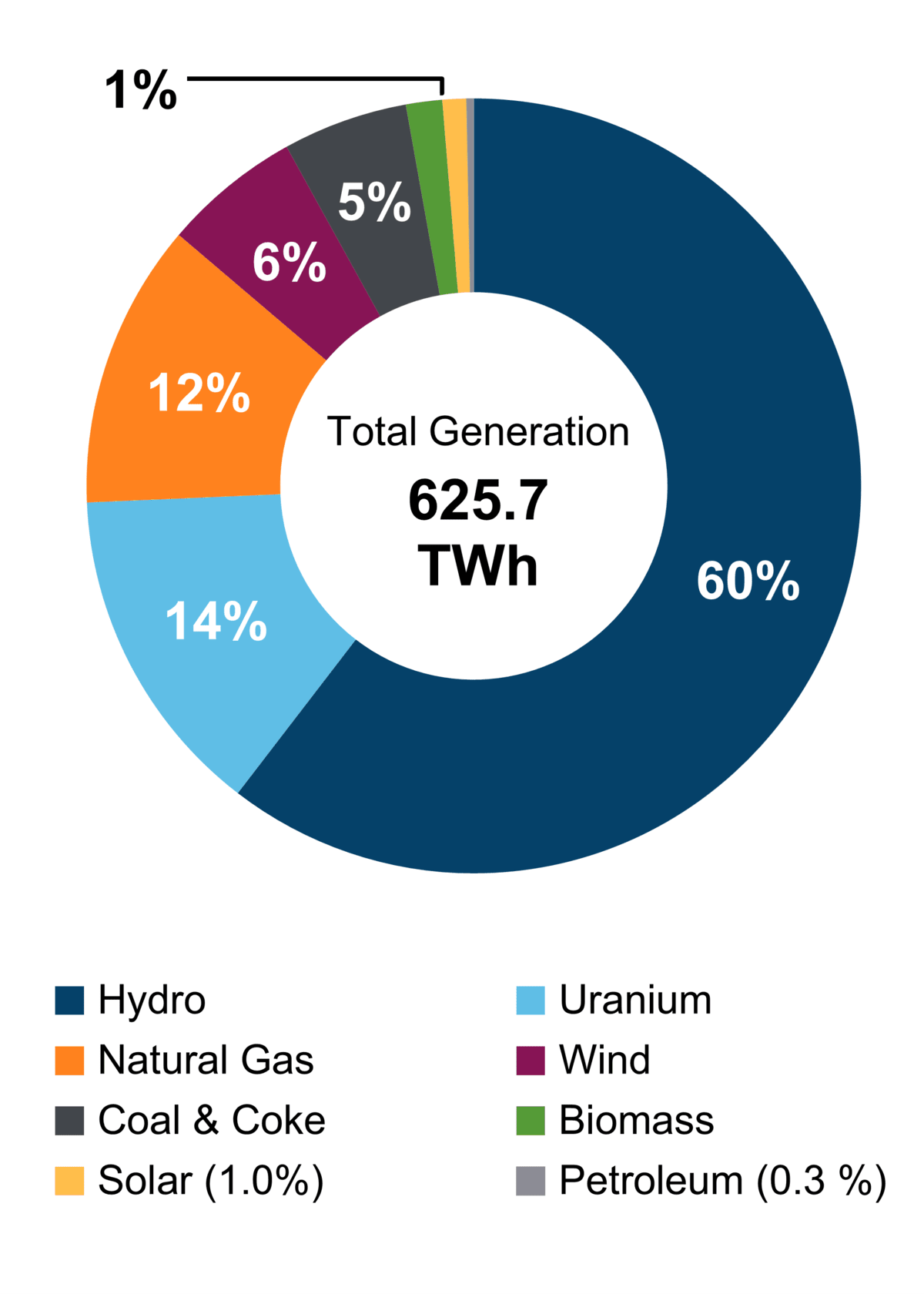 Figure 1: Electricity Generation by Fuel Type (2021)
