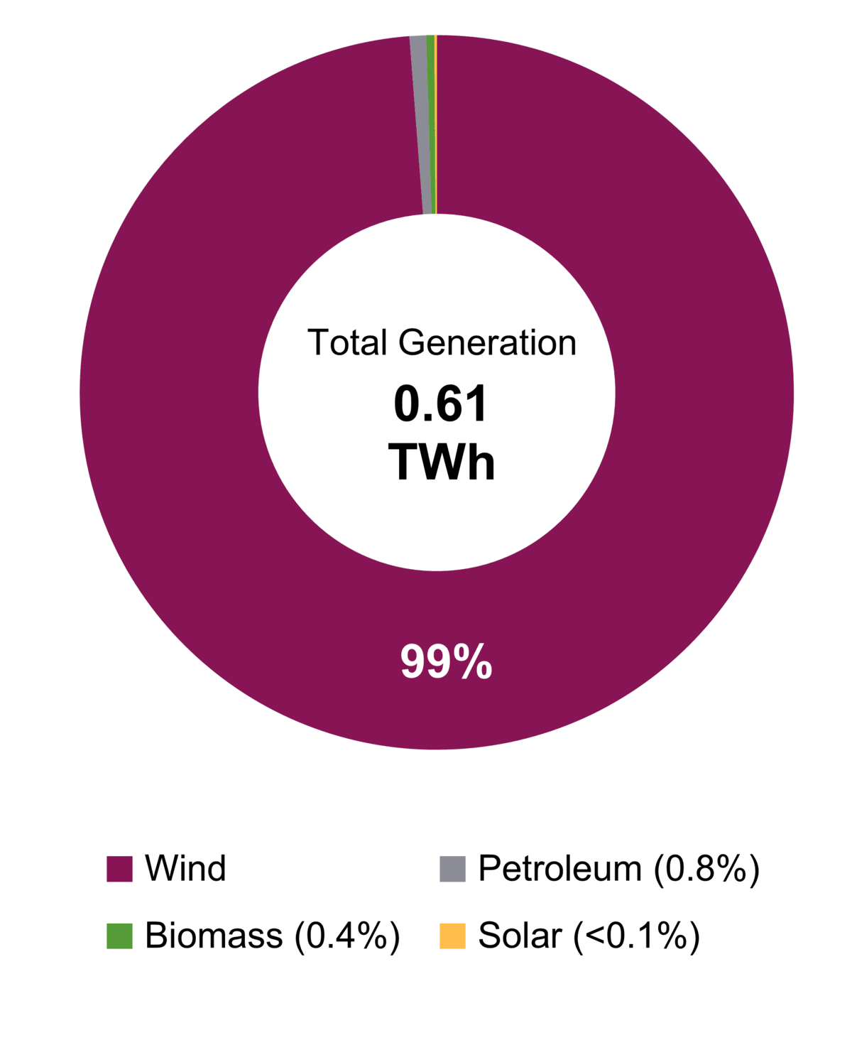 Figure&nbsp;2: Electricity Generation by Fuel Type (2021)