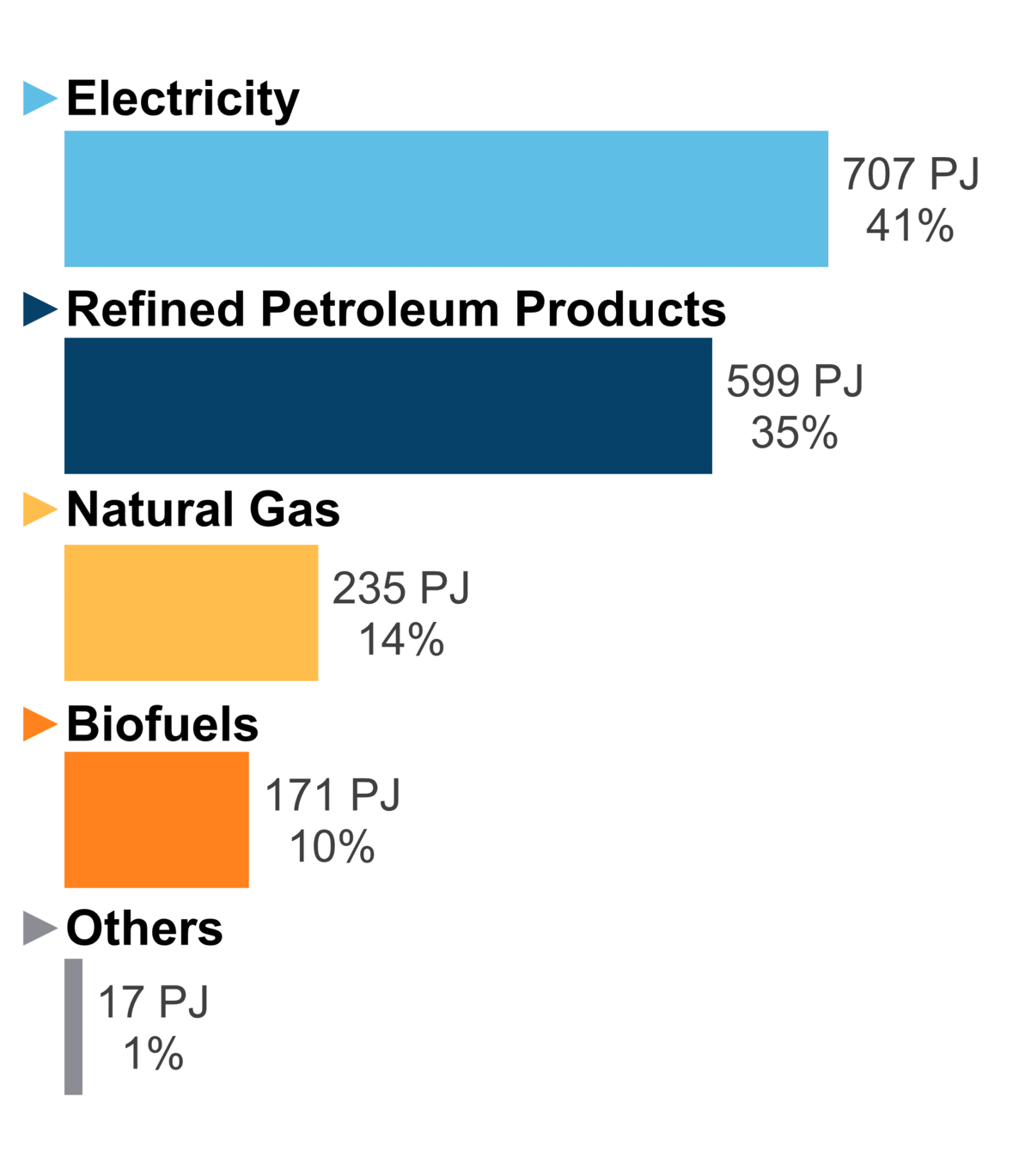 Figure 6: End-Use Demand by Fuel (2020)