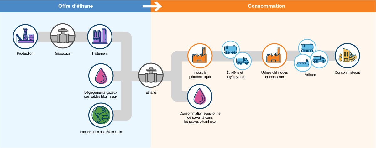 Cette figure illustre le cycle de transformation de l’éthane des sources d’approvisionnement jusqu’aux consommateurs.
	Offre d’éthane : Production, gazoducs, traitement, dégagements gazeux des sables bitumineux, importations des États-Unis
	Consommation : Industrie pétrochimique, consommation sous forme de solvants dans les sables bitumineux, éthylène et polyéthylène, usines chimiques et fabricants, articles, consommateurs