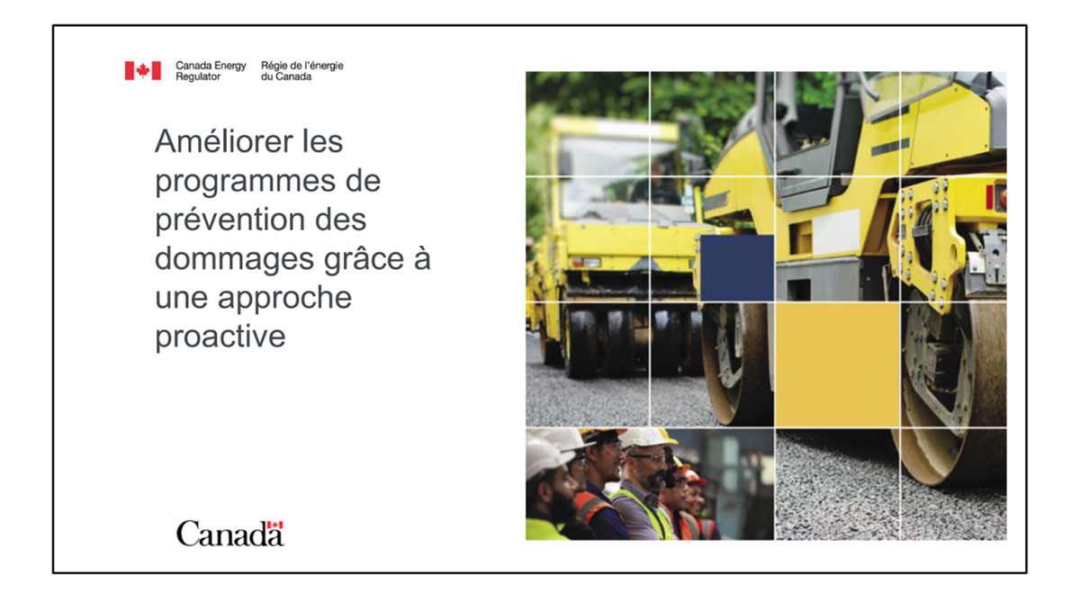 Amélorer les programmes de prévention des dommages grace à une approche proactive