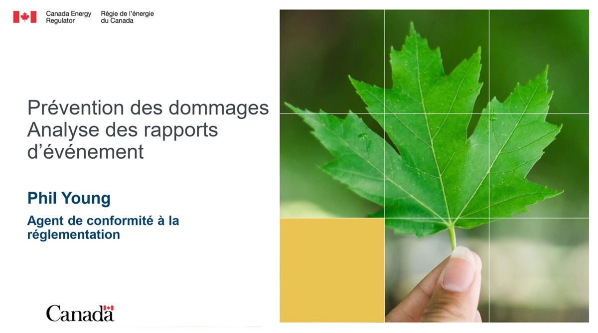 Prévention des dommages Analyse des rapports d’événement - Phil Young